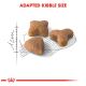 Image of three uniquely shaped kibble pieces on a sketched outline, with the text "ADAPTED KIBBLE SIZE" prominently displayed above.