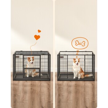 Eine schwarze Hundebox mit einem glücklichen Hund darin, illustriert mit einem Herz oben links und einem Knochen-Icon rechts.