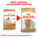 Bild von zwei Tüten Royal Canin Pudel-Hundefutter, das ein neues Design auf der rechten Seite zeigt mit dem Text "NEUES AUSSEHEN, UNVERÄNDERTE REZEPTUR".