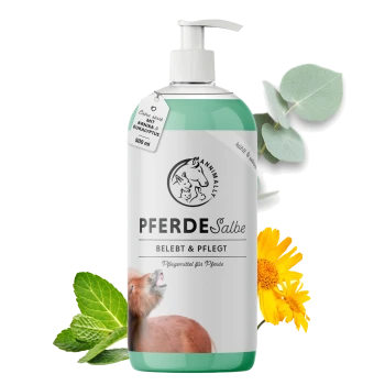Flasche PferdeSalbe mit einem Pumpenspender, mit einem Pferdebild und dem Text, der anzeigt, dass sie Arnika und Eukalyptus enthält, 500 ml.