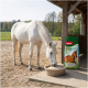 Ein braunes Pferd mit einer weißen Blesse frisst aus einer Metallschüssel neben einem Sack Panto Pferdefutter, hebt Vitamine und Omega-Fettsäuren hervor.