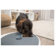 Ein kleiner brauner Hund frisst aus einer modernen, runden Futterschüssel auf einem Holzboden, mit einem gemütlichen Wohnzimmer im Hintergrund.