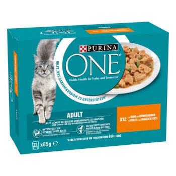 Packung Purina ONE Katzenfutter, mit einer grauen Katze und einer Schüssel mit Nassfutter. Der Text enthält "Sichtbare Gesundheit für heute und morgen" und "ERWACHSEN."