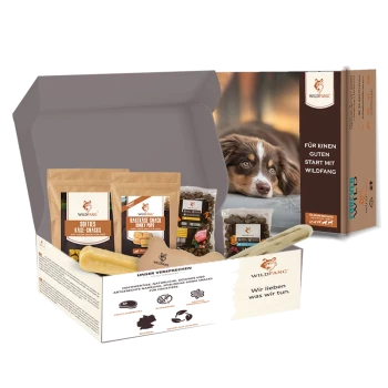 Wildfang Hundesnackbox mit verschiedenen Snacks und Kauspielzeugen, mit einem braun-weißen Hund auf der Verpackung.