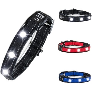 Leuchthalsband Hundehalsband schwarz S