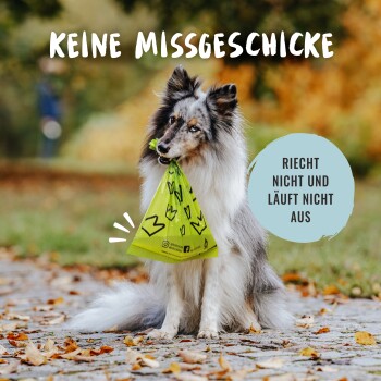 Ein Collie hält eine grüne Tasche im Mund, umgeben von Herbstblättern. Text: "Keine Missgeschicke" und "Riecht nicht und läuft nicht aus."
