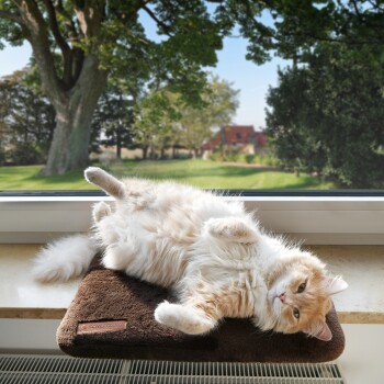 Eine flauschige weiße Katze liegt auf einem braunen Haustierbett am Fenster und sonnt sich, während eine grüne Landschaft draußen sichtbar ist.