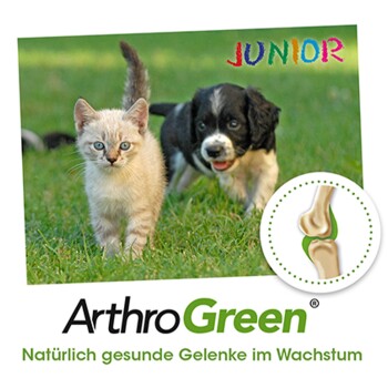 ArthroGreen Junior 330 g