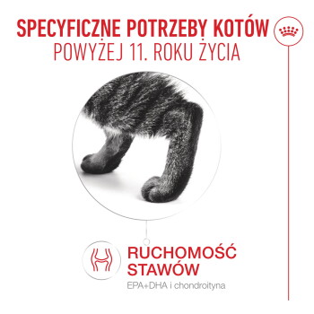 Tylne nogi szarego kota; polski tekst: SPECYFICZNE POTRZEBY KOTÓW POWYŻEJ 11. ROKU ŻYCIA; RUCHOMOŚĆ STAWÓW; EPA+DHA i chondroityna.