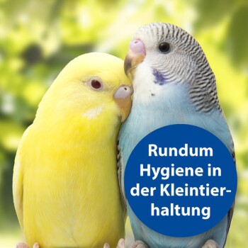 Zwei bunte Wellensittiche, gelb und blau, kuscheln vor einem verschwommenen grünen Hintergrund mit dem Text "Rundum Hygiene in der Kleintierhaltung."