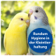 Zwei bunte Wellensittiche, gelb und blau, kuscheln vor einem verschwommenen grünen Hintergrund mit dem Text "Rundum Hygiene in der Kleintierhaltung."