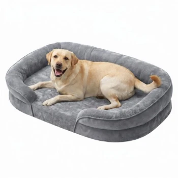 Gelber Labrador liegt und lächelt auf einem grauen Plüsch-Hundebett mit Rand auf weißem Hintergrund