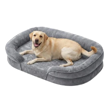 Gelber Labrador liegt und lächelt auf einem grauen Plüsch-Hundebett mit Rand auf weißem Hintergrund
