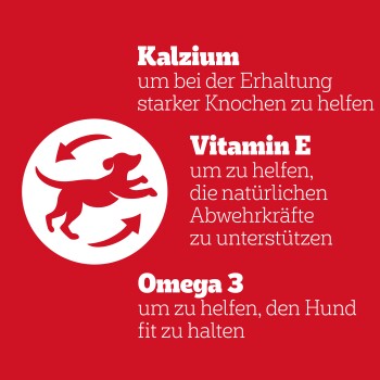 Roter Hintergrund mit weißem Text, der die Vorteile von Hundefutterergänzungen auflistet: "Kalzium" für starke Knochen, "Vitamin E" für Immununterstützung, "Omega 3" für Fitness.