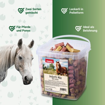 Der Kopf eines weißen Pferdes neben einem klaren Behälter mit PANTO Leckerli-Mix, einem Leckerli für Pferde und Ponys, mit Apfel- und Karottengeschmack.