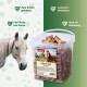 Der Kopf eines weißen Pferdes neben einem klaren Behälter mit PANTO Leckerli-Mix, einem Leckerli für Pferde und Ponys, mit Apfel- und Karottengeschmack.