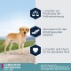 Breed Specific Labrador Retriever 12 kg