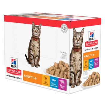 Hill's Science Plan Katzenfutterbox mit einer getigerten Katze, gekennzeichnet 'Erwachsene 1-6', mit Geschmäckern: 6x Huhn, 3x Meeresfisch, 3x Rind.