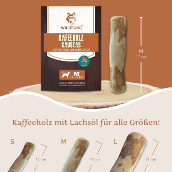 Hund beißt auf einen Kaffeebaum-Kauholz-Stick mit Lachsöl, gehalten von einer Hand, deutscher Text beschreibt ihn als robust und langlebig.