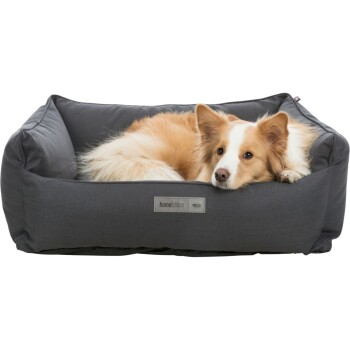 Bett Farello schwarz 50 cm, 27 cm, 50 cm