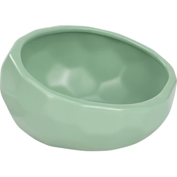 Un bol de nourriture pour animaux de compagnie vert clair et texturé avec une forme unique et irrégulière, conçu pour le confort et le style.