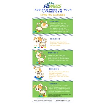 Infografik mit dem Titel "Fügen Sie Paw Pods zu Ihrem Hundegym hinzu", die 5 illustrierte Übungen für Hunde mit FitPAWS Paw Pods zeigt.