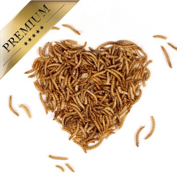 Ein herzförmiger Haufen hochwertiger getrockneter Mehlwürmer auf weißem Hintergrund, mit einem goldenen 'PREMIUM'-Label in der oberen Ecke.