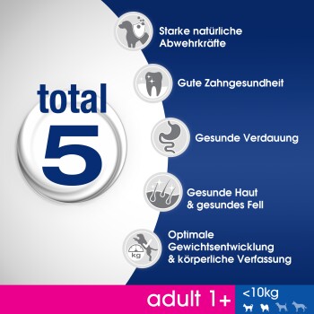 5 korzyści z karmy dla psów poniżej 10 kg: silne obrony, zdrowie jamy ustnej, trawienie, skóra i sierść oraz zarządzanie wagą.