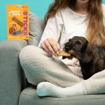 Une femme en chemise blanche est assise sur un canapé, donnant une friandise à un petit chien. Un paquet de bâtonnets Edgard Cooper est visible en arrière-plan.