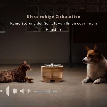 Eine Katze und ein Hund sitzen neben einem Haustier-Wasserbrunnen mit dem Text darüber: "Ultra-ruhige Zirkulation" und "Keine Störung des Schlafs."