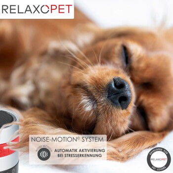 Ein schlafender brauner Hund mit einer schwarzen Nase, neben einem RelaxoPet-Gerät mit einem Etikett 'Noise-Motion® System' in Deutsch.