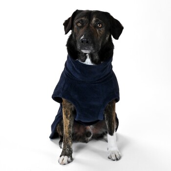 Ein Hund, der einen gemütlichen marineblauen Fleece-Pullover trägt, sitzt vor einem weißen Hintergrund.