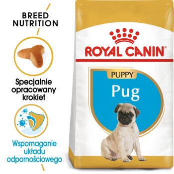 Mops Puppy 1,5 kg