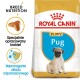 Torba z jedzeniem dla szczeniąt rasy Pug Royal Canin z wizerunkiem szczeniaka, z tekstem podkreślającym odżywianie rasy i wsparcie odporności.