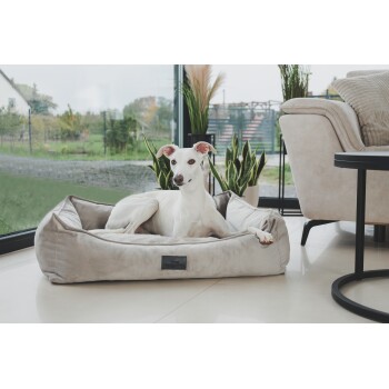 Ein weißer Hund, der in einem plüschigen, beigen Hundebett liegt, umgeben von Zimmerpflanzen, mit einem modernen Wohnzimmer im Hintergrund.