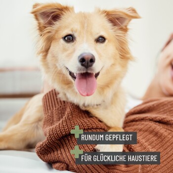 Eine Person kuschelt mit einem kleinen, flauschigen Hund, während sie einen gemütlichen braunen Pullover trägt. Der Text auf dem Bild lautet 'RUNDUM GEPFLEGT' und 'FÜR GLÜCKLICHE HAUSTIERE.'