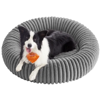Schwarz-weißer Border Collie liegt auf einem runden, grauen, gerippten Hundebett und trägt eine orangefarbene Bandana mit dem Text "Feandrea".