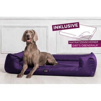 ® GOOFY - Orthopädisches Hundebett aus Polyester inkl. Matratzenschoner lila 1,3 m, 25 cm, 1 m