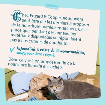 Chat gris aux yeux jaunes parmi des emballages déchirés ; texte en français : « PP mono‑matériau conçu pour être recyclé ».