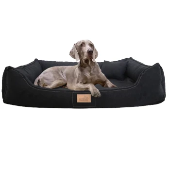 MADDOX SOFT - Orthopädisches Hundebett schwarz 1 m, 25 cm, 75 cm Ein grauer Hund liegt auf einem plüschigen schwarzen Hundebett mit erhöhten Rändern, mit einem Holzschild, auf dem "PetMax" steht.