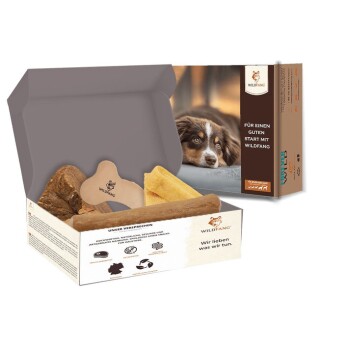 ® Welpen Paket XXL Willkommen Liebling S