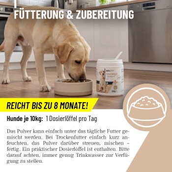 Fütterungsempfehlung für Hunde: 2g pro Tag je 10kg, einfach unter das tägliche Futter mischen. Eine Edelstahlschüssel für Hunde ist sichtbar.