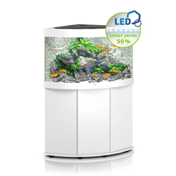 Ein modernes, gebogenes Aquarium mit bunten Fischen, üppigen grünen Pflanzen und felsigem Dekor, mit einem Etikett "LED-Energieeinsparung 50%".