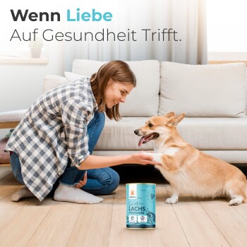 Eine Frau in einem karierten Hemd spielt mit einem glücklichen Corgi in einem gemütlichen Wohnzimmer, mit Tierfutter, das mit "Sensitive Lachs + Truthahn" beschriftet ist, in der Nähe.