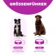 Größenguide für Hundenäpfe: Links, mittelgroßer Napf (21,6 cm, 2 Tassen) für Border Collie; Rechts, großer Napf (29,9 cm, 4 Tassen) für Labrador.