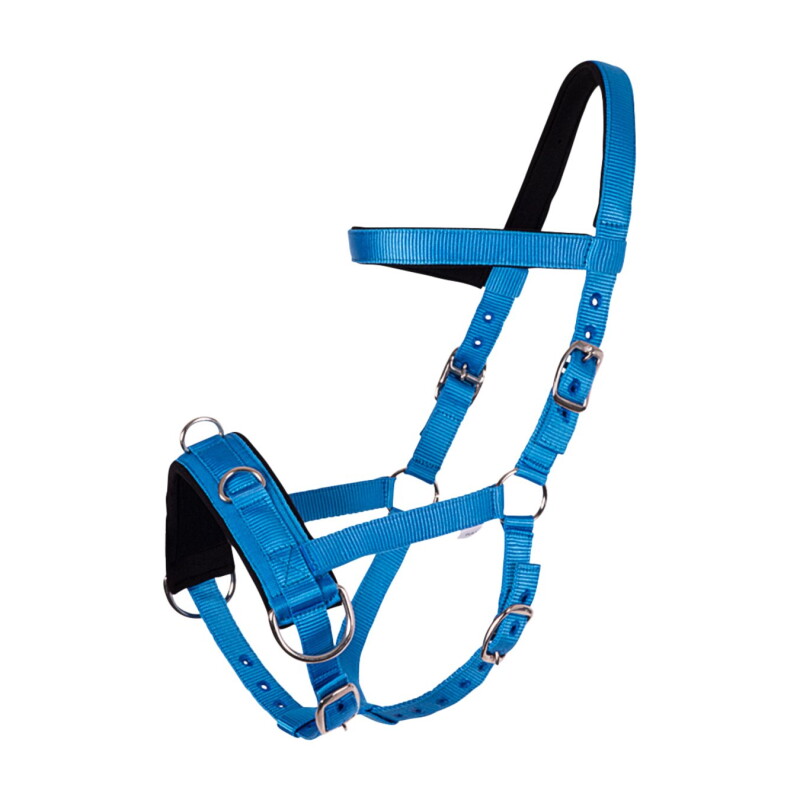 GOLDHORSE Kappzaum Basic blau WB (Warmblut)