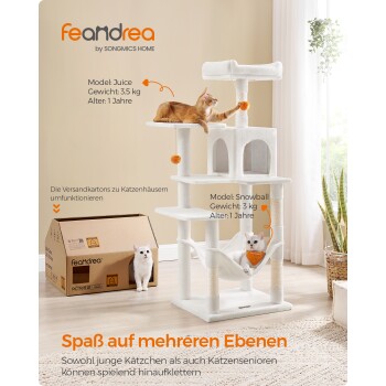 Zwei Katzen, eine orange und eine weiße, spielen auf einem mehrstöckigen Katzenbaum. Der Text hebt die Modelle 'Juice' und 'Snowball', ihr Gewicht und ihr Alter hervor.