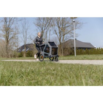 Eine Frau joggt mit einem Haustierwagen auf einem Weg, umgeben von Gras und Bäumen, unter einem klaren blauen Himmel.