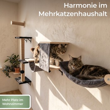 Katze klettert an einem wandmontierten Kratzbaum und eine andere Katze ruht in einer Hängematte; Text auf Deutsch über Stabilität und 35 kg Belastungsgrenze.