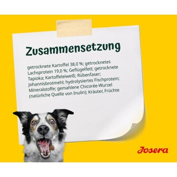 Ein glücklicher Hund mit offenem Mund befindet sich unten links, neben einer Notiz mit Zutaten auf Deutsch: getrocknete Kartoffeln, Lachsprotein und mehr.